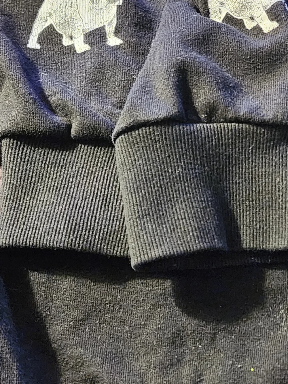 Forever 21 Black Crewneck Sweater with White Bulldog Embroidery